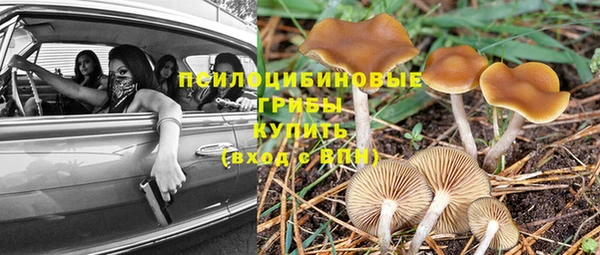 марки nbome Белокуриха