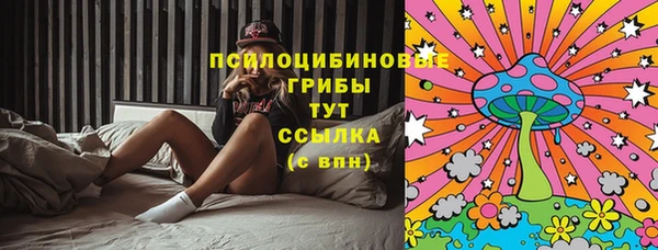 сатива Балабаново