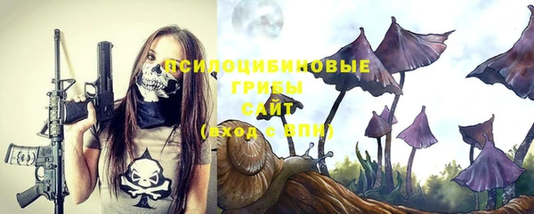 сатива Балабаново