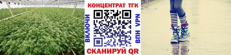 mega зеркало  продажа наркотиков  Семикаракорск  ТГК THC oil 